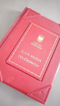 sprejem odličnjakov (11)